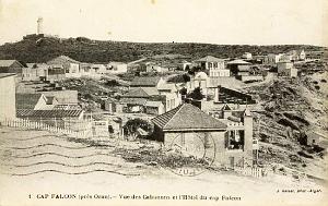 CAP FALCON  (19)